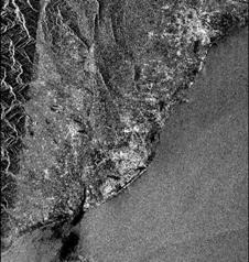 主像振幅影像。(衛星: ERS1, 獲取日期: 96/01/31)